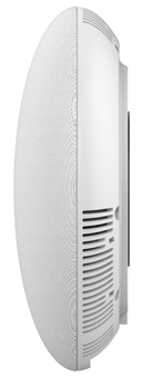 Grandstream GSC3510 2-Way Bluetooth Wi-Fi IP Paging Speaker